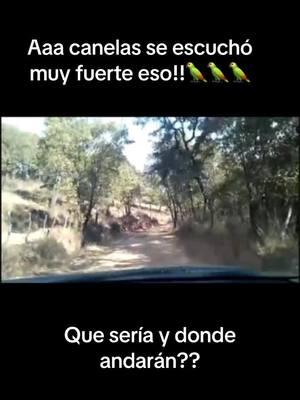 #fuerzaregida #AmericaMexicana #enelrancho🤠❤️ #lavidaenelrancho #triangulodorado😎🤠✌️ #sinaloa#durango🦂 #chihuahua #incendiosenlosangeles #soymichoacanoastaeltope💯💯💯 