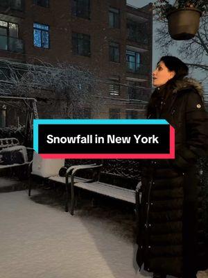 Snowfall in New York #rooshymirza #food #foodvideos #pasta #soup @TiktokPakistanOfficial 