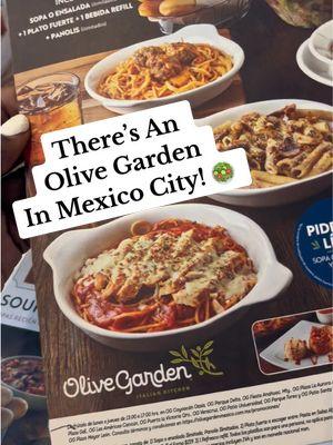 Welcome Back to TikTok 🙃 ❤️All You Can Eat Salad 🥗 & Breadsticks 🥖Have Crossed The Border! #olivegarden #olivegardenmexico #soupandsalad #badservice #americanrestaurant #mexicocity #mallfood 