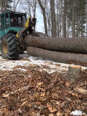 @skidderman240 #woodgrain #timberjack360 #562markll #xcutchain #hoffmanboots #kleinhardhats #loggertok #loggerlife 