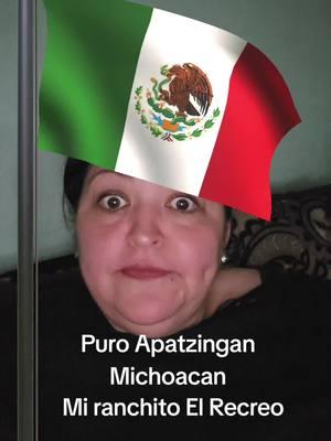 #tiktok #fyp #icelady #pattylachula #foryourpage #apatzinganmichoacan🇲🇽 