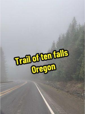 Come hike the Trail of Ten Falls with us! An 8.7 mile hike to see 10 waterfalls 😍 One of my favorite hikes I’ve done  #trailoftenfalls #oregon #silverfallsstatepark #pnw #exploreoutdoors #hike #waterfalls 