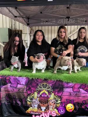 #bully #bullyladies #friends #breeders #hateusorloveus #welovedogs #americanbully #americanbullys #americanbullies #frenchbulldog #frenchie #bosslady #bossladies #breeder #dogshow #california 