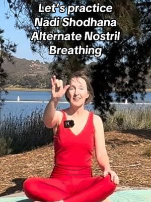 Let’s relax and practice #nadishodhana #pranayama #breathwork #yoga #yogateacher 