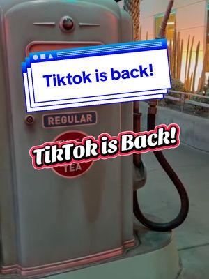 The moment we heard TT was Back! #tiktokisback #welcomebacktiktok #disneyland #disneyadult #disneylandia #tiktoker #party @Spectre 8 @Rachel’s Probably at Disney 🏰 @Johanna Cisneros #getcrazy #getwild #jerseyshore #massfollowing 