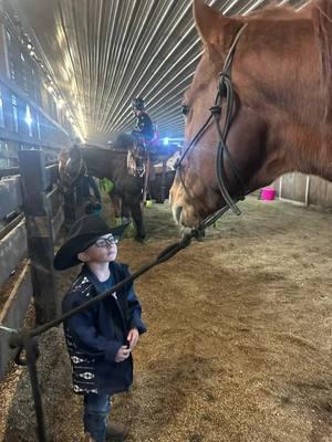 They can steal Grandma’s horses anytime. #dashmademeblaze #stallion #peewee #rodeo #babysgrowuptobecowboys #winterbarrelracing #grandbabies 