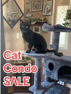 This cat loves its cat condo 🐱#catcondo #cattree #cattreetower #kittycondo #cataccessories #catsoftiktok #catlovers #tiktokshopjumpstartsale 