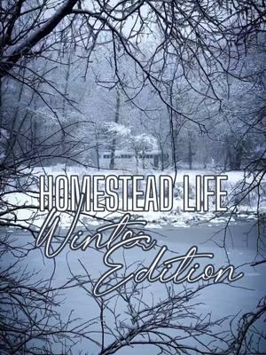 Homestead life, winter edition ❄️ Winter is harsh. Cold that seeps to your bones and days without sun. Every chore takes twice as long, and there’s additional ones like chopping the steady supply of logs the stove burns through. The air is frigid, the light is short, and life is forced to slow. But it’s also magic. The way the warmth of the wood stove washes over you and melts the cold from your bones. The ice frosting every tree, casting glitter over a landscape gone quiet and still. The bliss of a hot cup of tea in your hand while the fire crackles wood song and light from the cold moon dances on a blanket of fresh-fallen snow. I think we only really experience the full scope of any spectrum in the equal measure of its duality. I love as deeply as I’ve been willing to grieve, am abundant to the extent I’ve been willing to lose, know profound joy and crushing despair in equivalent parts. And so I sink into the winter here, hibernating and struggling and delighting through it in turns, knowing when the wheel spins and I’m washed in sunlight again, it will feel even warmer and sweeter after the season of cold and dark. #winterlife #buslife #inthewoods 