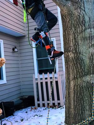 escalando en una sola línea #arboleros🌲👊 #treework #escalator #climber #fyppppppppppppppppppppppp 