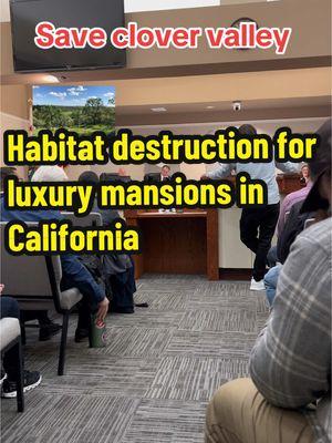 A billionaire developer that doesn’t even live in California is trying to destroy a Native American historical site, and the last intact native biodiversity hotspot in Rocklin California. We have 90 days to save clover valley. Before 600 acres of native habitat it turned into 50 multi million dollar luxury homes. Cutting down hundreds of oak trees while destroying endangered salmon and steelhead spawning grounds. This is not only unsustainable it is also going to lead to a mega fire. Replacing fire resistant native plants with invasive eucalyptus trees Bradford pears and mustard. We saw it in the camp fire , we saw it in the Oakland hills fire , we saw it in the Palisades fire. Will Rocklin be next? Save clover valley before it’s too late. Please. #environment #crime #stitch #california #oldgrowth #oak #trees #logging #mansion #luxury #development #suburban #invasivespecies #eucalyptus #calltoaction #protest #cityhall #rocklin #cali #nativeplants #plants #pollution #endangeredspecies #salmonrice #climatejustice #climateaction #urban #wildlife #biology #nativehabitatproject #conservation #leaveitbetter #Sustainability #fire #nativeamerican #landback