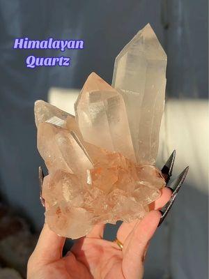 This post goes out to my Himalayan lovers. If you’ve been with me for a while, you know I only buy my Himalayan quartz from the Tucson gem show so that I can handpick them at a great price. I will say however prices have definitely gone up this year, but these pieces are well worth it. #fyp #tuscongemshow #himalayanquartz #highend #gemsandminerals #gemshowfinds 