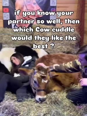 Since tik tok is back we thought we’d check, Which cuddle partner would you pick? ❤️🐄 Valentine’s Day is coming up, and it’s the perfect time to decide! Will it be the nap-loving snuggle pro, the tiny big-personality cuddle buddy, or the ultimate affectionate companion? Let us know your pick in the comments below! 💕 #ValentinesDay #FarmLife #CuddleBuddies #FarmAnimals #AnimalLovers #LoveIsInTheAir #FarmAdventures #CountryCharm #RusticLife #CowCuddles #FarmLove #CozyVibes #KnowhereFarm #HappyValentines #FarmExperience #CuddleTime #NatureLovers #FarmVibes #UniqueExperiences #Cows