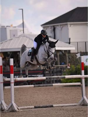 Nobody: Kitty: “watch me in the warm up” 💁🏼‍♀️ #wellington #wef #horsetok #equestriansrelate #horsegirl #equestriansoftiktok #equestrians #horsesofinstagram #horseshowstyle #grandprixriding #huntleyequestrian #euphoricequestrian @Grand Prix Riding (🎥: @mianbakerr ) 