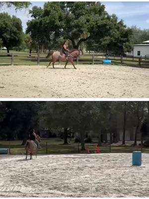 No more bouncing around for dis gurrrrl #fyp #horsesoftiktok #foryoupage #quarterhorse #cowhorse #quarterhorsesoftiktok #Zeke #lopinghorse #lopinghorses #redroangelding #redroanhorse 