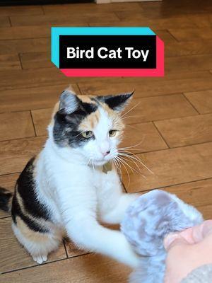 Get ready to witness the ultimate cat entertainment with this chirping and flapping bird cat toy #cattoys #felinefun #happycat #catlife #rechargeabletoy #catsoftiktok #pettoys #birdtoy #ttsdelightnow #giftguide #cats 