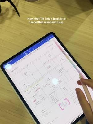 All jokes aside, happy we are back 📔📔📔📔 #mandarinclass #tiktok #ban #tiktokban #ipadtok #ipad #goodnotes 