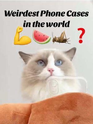 the WEIRDEST PHONE CASES in the world🤯 #haul #purchase #unboxing #PuffTheChef #thatlittlepuff #PuffHoliday  #tiktok #foryou #fyp #cute #funny #catsoftiktok #catslovers #wholesome #PetsOfTikTok  #cattrend 