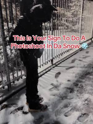 Another Snow Day In NYC #snow #snowstorm #snowday #nycsnow #snownyc #snowphotoshoot #snowphotography #photoshootinspo #snowshoot #photoideas #tiktokisback 