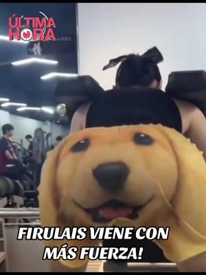 Firulais con todo! #videosgraciosos #animalesgraciosos #animalesasombrosos #mascotasgraciosas #mascotasasombrosas #petslover #abiertohastalas12 