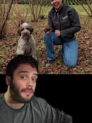 Truffles #sciencetok #evolution #LearnOnTikTok #edutok #stem #fungi #truffle #makersmark #kentucky #dog #hunting #Outdoors #pets #science #biology 