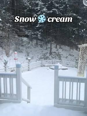 #onthisday lol time flies. I can't believe this was a year ago, but it's time to make some of that snow cream again it was so good. #Icecream #icecreamrecipe #SnowCream #Snow #SnowDay #aroseslimes 