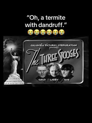 #I #threestooges #curly #moe #termite #dandruff #funny #😂😂😂😂😂😂😂😂😂😂