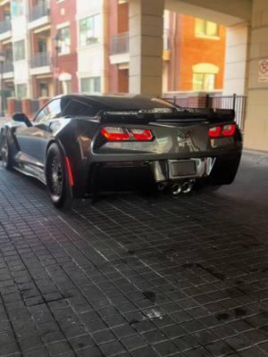 chop is on beat 😩 🦅 #foryoupage #fast #c7z06 #hard #corvette #trending #fastcar #1000hp #quiet #cammed 