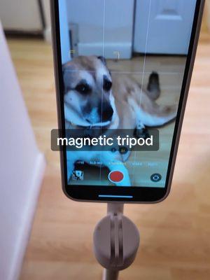 my fingers might divorce me if i pinch them in a spring-mounted phone mount again. this magnetic tripod from @KraftGeek is quite literally my favorite thing i’ve purchased on tiktok shop. #TikTokMadeMeBuyIt #TikTokShopFinds #MustHave #GadgetGoals #MagneticTripod #OnTheGoEssentials #CompactAndConvenient #PurseFriendly #TechAccessories #FilmingMadeEasy #TikTokLifeHack #SmallButMighty #ViralFind #ContentCreationTool #InfluencerMustHave #PerfectForTravel #UpgradeYourSetup #CreatorLife #TikTokGadgets #ShopSmart 