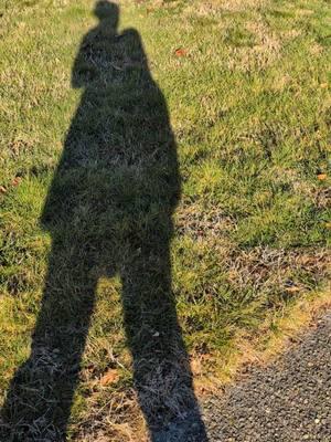 It's nice to have a walking buddy now #winter #letsgoforawalk #walk #warmwinter #mylittleshadow #myshadow #lifegiver #goddess #woman #mom #feelslikespring #tiktokban #transition #thenandnow #afewyearslater #meditation #reflection  #themorethingschange 