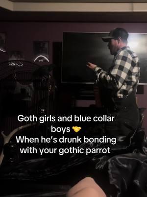 #crow #bluecollar #bluecollarboys #gothic #gothicstyle #gothicbaby #boyfriend #lol #funnyvideo #funny #lmfao #cheezits #bonding #men #weirdpets #weirdpetsoftiktok #murder #parrotsoftiktok #bird #parrot #pets 