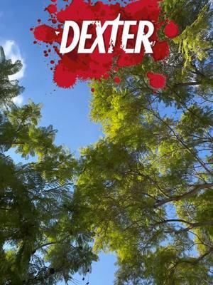 #dexter #dextermorgan #setstalkers 