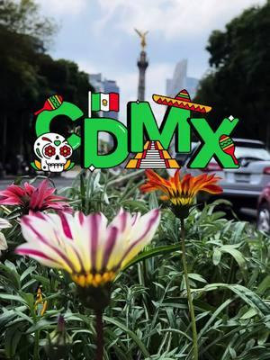 CDMX. Ciudad de México, #parati #blancaestelaoficial #lamamalonadijo #ladamaempoderada #lapoderosaempoderada #fyp #cdmx #mexico #elangeldelaindependencia #distritofederal 