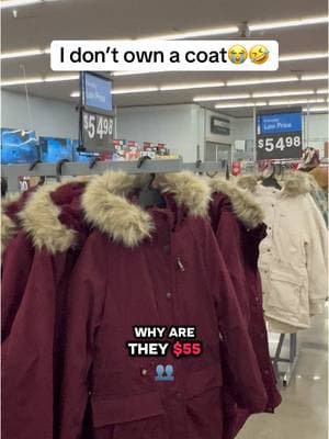 The other options were like- not coats. Lol ? 😅🤣  #southdakota #walmartfinds #freezingweather #coats #winterfashion #winterfit 