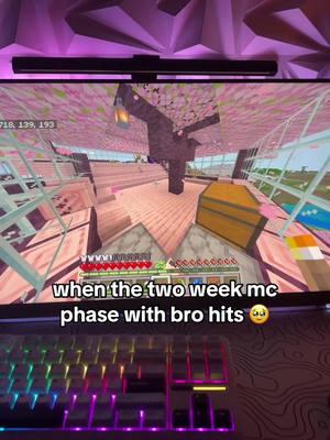 #Minecraft #phase #monitor #240hz #relatable #viral #fypシ 