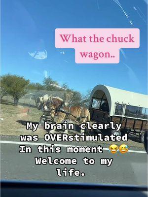 Got way too excited about the random #chuckwagons on the side of the road, my brain had a hard time computing. #wordsarehard #what #overstimulated #what #howcute #countryroad #takemehome #fypシ 