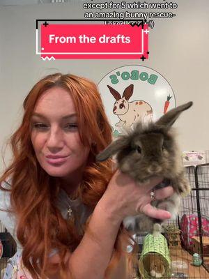 Omg this draft BREAKS ME 😭 @Dust Bunnies  has an amazing rescue & was incredible enough to take in the few long timers I couldn’t get adopted. I closed the rescue because I was pregnant with my 2nd baby…and after I closed the entire rescue & adopted most of the bunnies out, we miscarried the baby 😭 I lost my human baby & my fur babies in a matter of a week. 🥺 #bunniesoftiktok #bunnyrescue #buntok #rescueanimals #bunny 