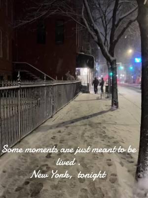 Thanks to my daughter who lives in New York City. Sometimes I really miss the snow.. #kirstenincalifornia #sandiegostylist #hairdresseroftiktok #citysnowfall #eveninginthesnow #newyorkwinter #snowynightin New York  