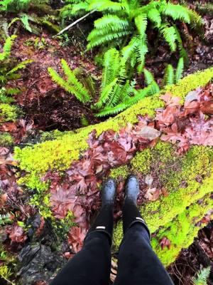 Get outside and grow with the earth 💚🌿🍃#earth #beauty #fyp #fypシ゚viral #fyyyyyyyyyyyyyyyy #fy #beautywithin #foryoupage #grow #growth #wildlife #nature #offgrid #wa #offgridlife #12acres #hoodcanal #toyhauler 