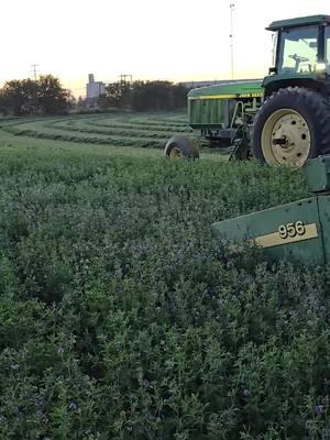 man am I glad it's back online#farming #satisfyingvideo #agriculture #farmintexas 