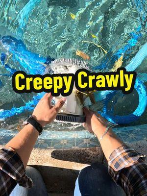 Unclogging a creepy crawly #mypoolguyjay #tiktokpoolguy #tiktokpoolpro #poolguy #poolguys #poolmaintenance101 #poolguylife #fyp #foryou #para #paratipage #parati #tiktokpoolguyjay  #swimmingpooltipssandtricks #swimmingpools #pools #poolcleaning #poolvideos #asmrtiktoks #asmrvideo #asmrsounds #asmr 