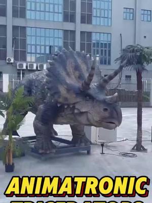 The dive of the Triceratops seems to be able to knock down everything in front of it #dinosaur #triceratops #animatronicdinosaur #simulationdinosaur #dinosaurfactory #dinosaurmanufacturer #animatronicproduct #animatronicfactory 