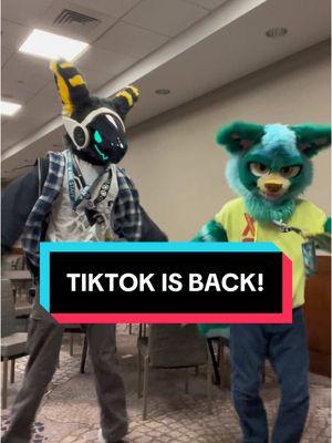 WE BACK! 🔥🔥 Still got to collab with the amazing @Gray Himakar at #ANE2025 !! #protogen #furry #furrytiktok #protogenfursuit #fursuit #wolf #tiktok #tiktokban 