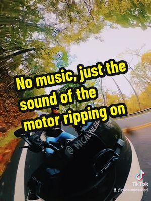 No music, just the sound of the motor ripping on! #roadglide #harleydavidson #motorcycles #selflove #happy #liveunleashed #micaunleashed #countryroads #biker #bikers #covingtonva #papermill 