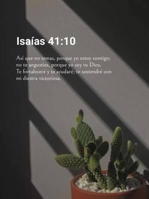 🥺❤️‍🩹#Dios #amor #tiktok #fe #Motivacional #cristianos #seguidores #jovenescristianos #dios #fe #diosgracias #guiame #bendiciones 