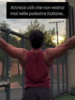 Cosa allena questo attrezzo? #allenamento #palestra #palestrato #fitnessitalia #gymtokitalia #massamuscolare #ragazzi 