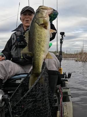 We may be in a deep freeze but the bite is red hot in #SouthFlorida #Everglades #southfloridafishing #fish #FishingIsGoodHere #WomensFishingFederation #KayakBassFishing #Bass #KBF #KayakFishing #GoProHero13 #bassfishing #knifecollection