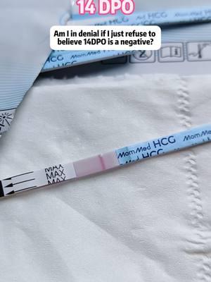 14DPO Theres just no way 🥲✨#ttc #ttcjourney #ttccommunity #infertility #infertilityjourney #pregnancytest #pregnancy #babydust #PCOS #MomMed #14DPO