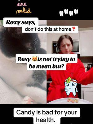 #duet with @Brooke Hyland i’m just saying. #fyp #catsoftiktok #roxythecat 