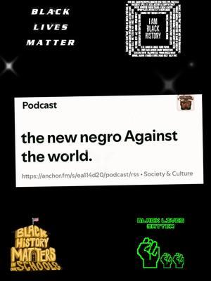 new negro aginst the world #blacklivesmattermovement #viraltiktok #trending #viralvideo #promisefromblackfolk 