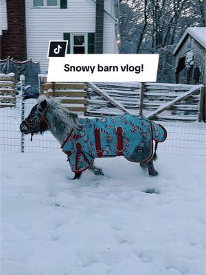 Snowy Barn Vlog! #Vlog #barnvlog #vlogs #farmvlog #minihorse #miniaturehorse #horses #horsetok #horsesontiktok #snow #winterwonderland #fypage #fy #fyppppppppppppppppppppppp #fyppp #pony 